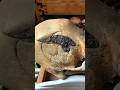 2,000-Year-Old Bionic Human? Ancient Paracas Skull with Metal Implant | Ancient Surgery