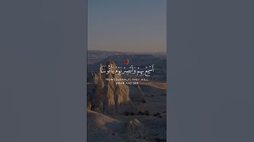 🌼🍃أسمع بهم و أبصر يوم بأتوننا🎙️المقرئ:عبد الرحمن مسعد📖سورة مريم💫 |الآية {38}|