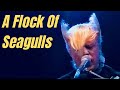 Capture de la vidéo A Flock Of Seagulls - Live Concert 1982 Hd