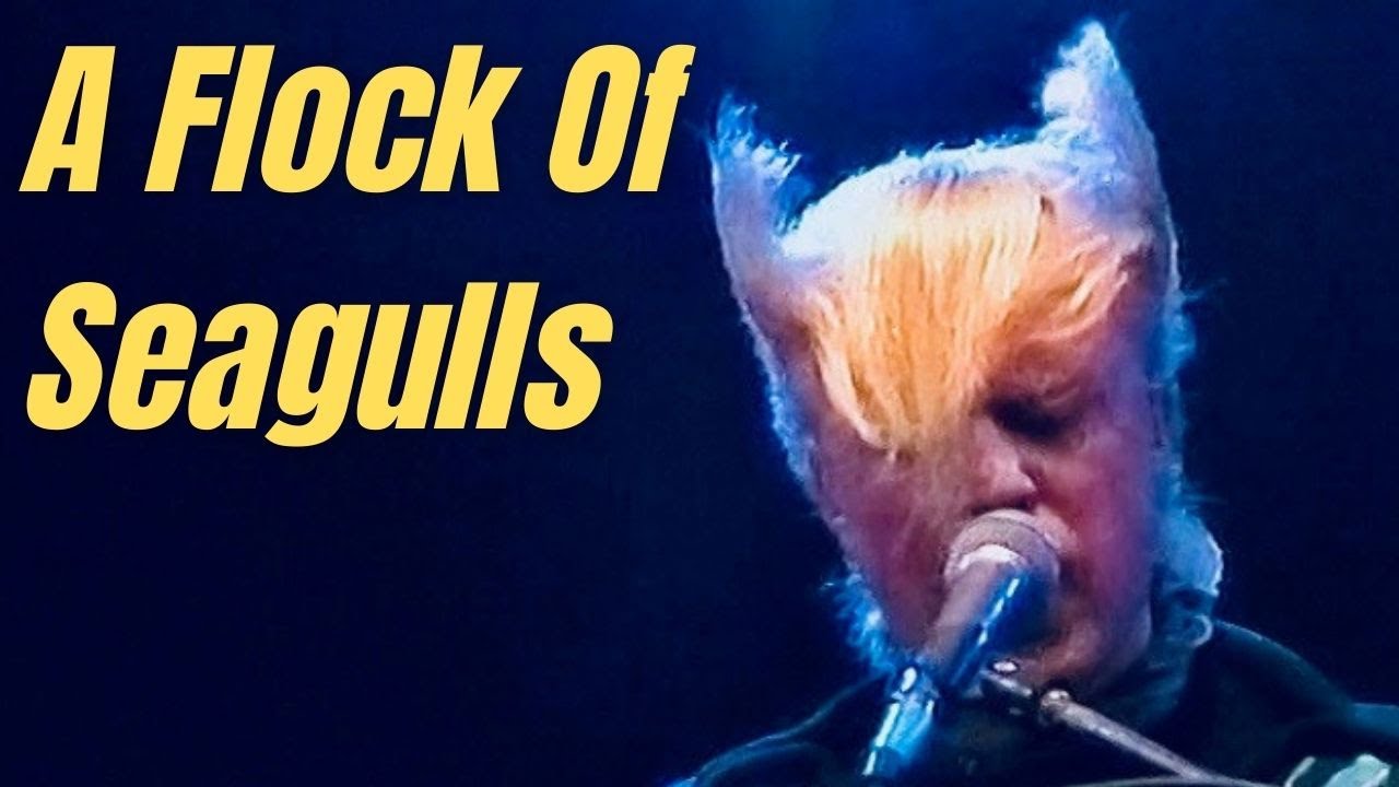 A Flock of Seagulls Live Concert 1982 HD YouTube