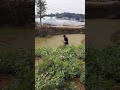 A Heartwarming New Year's Visit to Grandma's House