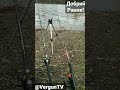 Добрий ранок на Шостій сотні #рыбалка #fishing #рыбалка_в_каменском #fish #весенний_клев