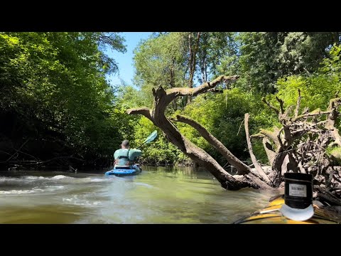 100°:  Tualatin crowds, plus deep exploration in Fanno Creek