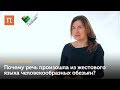 Теории речевого развития — Татьяна Котова