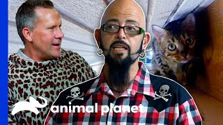 Jackson Makes Owners Wear "Catnip Cozies" To Stop Their Cat's Peeing | My Cat From Hell