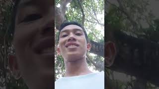Day 53 afternoon vlog