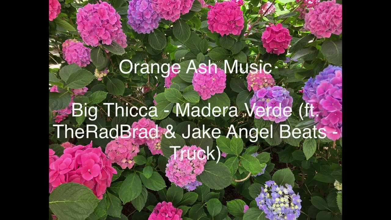 Big Thicca - Madera Verde (ft. TheRadBrad & Jake Angel Beats - Truck) [OAM Promotion]