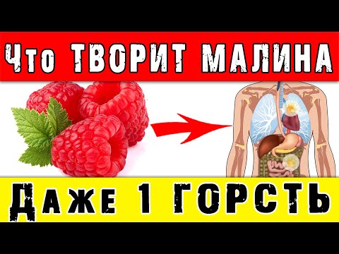 Что ТВОРИТ МАЛИНА с ОРГАНИЗМОМ 👍 Даже 1 Горсть вызывает необратимые процессы