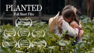 Planted - Full 2023 Short Film - Best Film of the 168 Festival