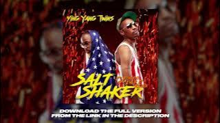 Ying Yang Twins - Salt Shaker (DJ ROCCO & DJ EVER B Remix)