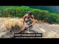 Trekking in maharashtra  rock climbing  catching and cooking crabs  jungle trek