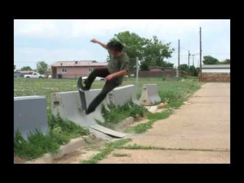 Brian The Lion Summer 2015- Initiate Skateboarding