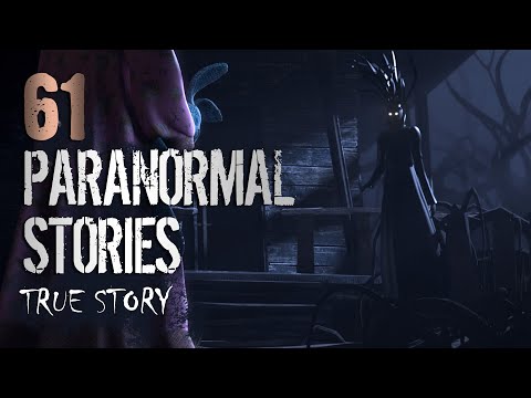233 236 61 True Paranormal Stories   04 Hours 23 Mins  Paranormal M