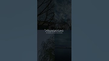 Surah Al-An'am 84-86 | سورة الانعام 84-86