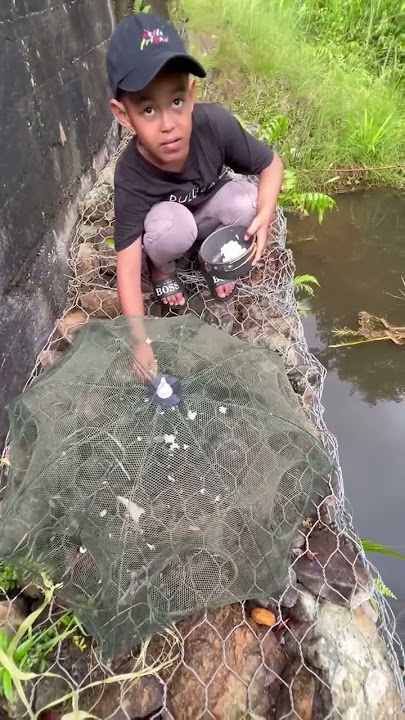 Pasang bubu payung