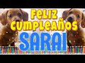 ¡Feliz Cumpleaños Sarai! (Perros hablando gracioso) ¡Muchas Felicidades Sarai!