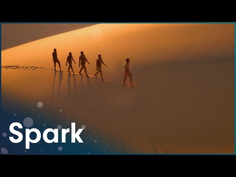 How Did Humans Become Earth&rsquo;s Dominant Species? [4K] | Evolution Of Us | Spark