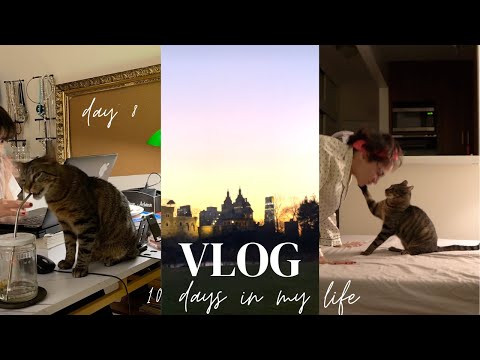 Documenting my NYC life Day 8 - Central Park walk/ Self talk etc