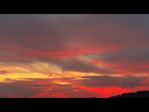 الشامي بنت قلبي