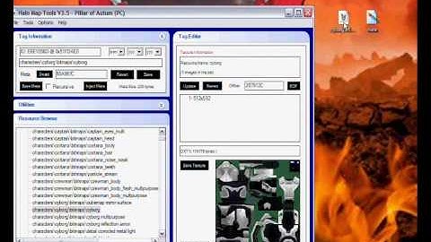 Halo combat evolved skinning.wmv