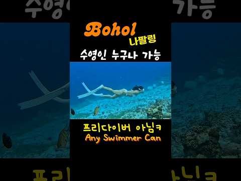 #보홀나팔링 #BoholNapaling_ EverySwimmer’s#BlueValentine#NMIXX#swimming#프리다이빙 #freediving#수영 #deepdiving