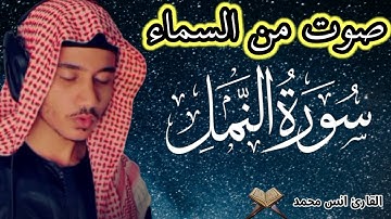 سورة النمل 🐜 القارئ أنس محمد ❤️ | راحة نفسية 😴 وصوت من السماء 🌹