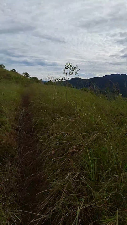villa VERDE trail #explore #adventure #offroad #shorts
