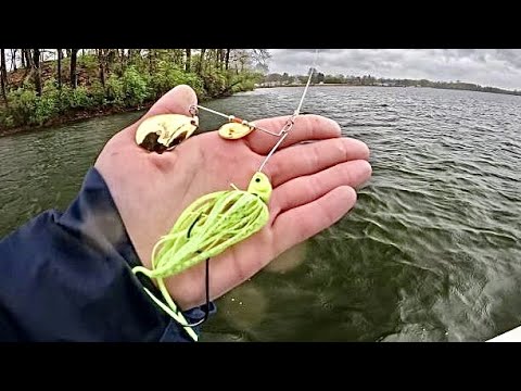 Rainy Spring Fishing for Big Bass and Pike 