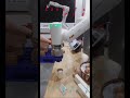Cánh Tay Robot ABB Gắp Sản Phẩm - Gắp Trứng Gà - Tự Động Hóa Công Nghiệp
