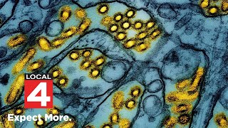 What’s Going Around in Metro Detroit: Influenza, RSV, COVID, slip and fall injuries, cough, fever
