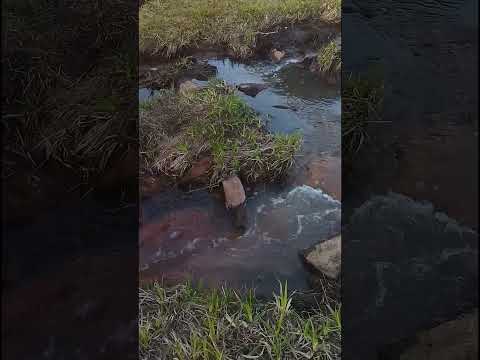В Покровском парке.14.04.