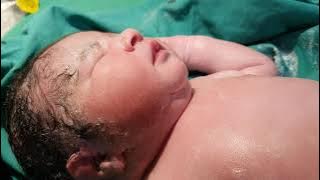 Video Bayi Baru Lahir, { Bintang Lucu Kami }, Bayi Baru Lahir Lucu Setelah IVF, IVF Sukses ​Video Bayi Lahir