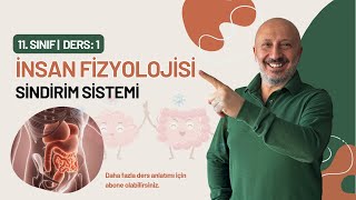 11. Sınıf Biyoloji Sindirim Sistemi - Ders 1 İnsan Fizyolojisi