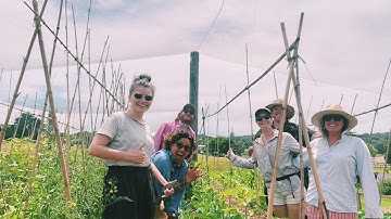 Advent Video #16- Piritahi Marae Māra