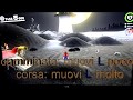 Istruzioni sui movimenti di Mario Odyssey: salti e lanci