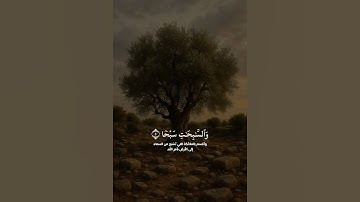 تلاوة رائعة بصوت الشيخ عاصم اللحيدان #shots #اكسبلور #quran #عاصم_اللحيدان
