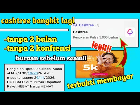 APLIKASI PENGHASIL PULSA GRATIS TERLEGIT 2020 | CASHTREE. 