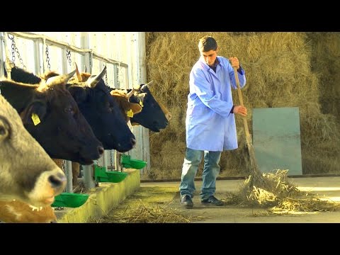 22 იანვარს, 12:45 საათზე - \"ფერმა\"