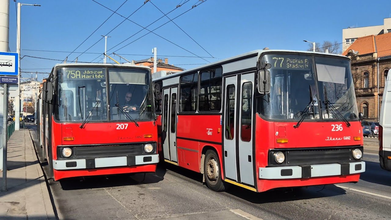 Utazás egy Ikarus Trolival Budapesten 207-es Ikarus GVM 280T a 75A vonalon (2025.02.19)