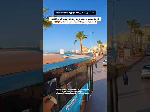 إسكندرية حب ما بينتهيش    