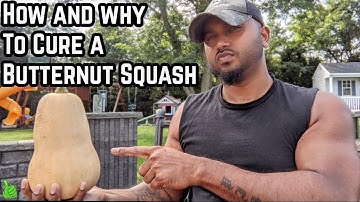 Butternut squash : How and why To Cure a Butternut Squash