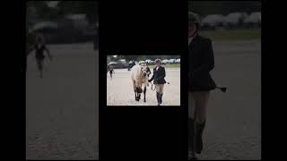 Pony Finals Edit These Girls Are Actually Living My Dream Finals