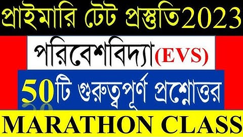 Environmental Science (EVS CLASS)|50🔥Important Questions||EVS Marathon Class|WB Primary Tet2023|E...