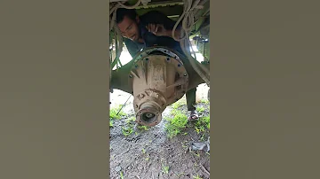 Ashok Leyland Differential Change 