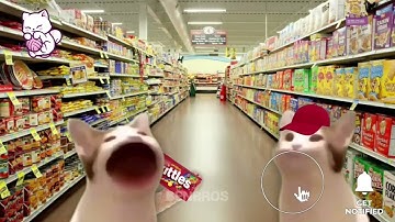 POP CAT SKATTLES (first video)special