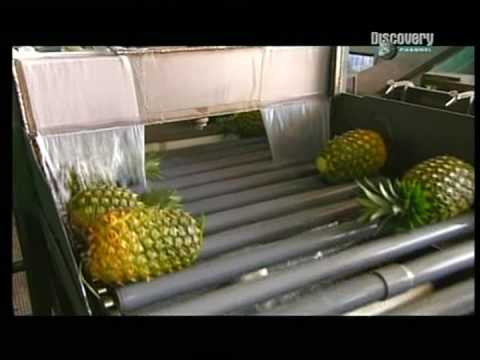 Video: Jak Se Vyrábí Ananas Z Cukrovinek