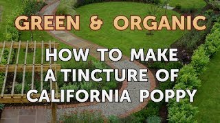 How to make a tincture of california poppy