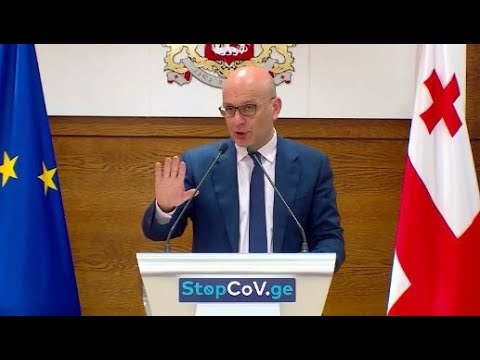 გამოძიებას ვერ ჩავატარებთ, მუშაობდა თუ არა ვინმე ძიძად, ისე ვარიგოთ ფული? - ფინანსთა მინისტრი