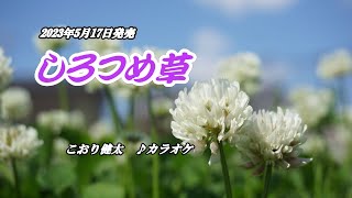 『しろつめ草』こおり健太　カラオケ　　2023年5月17日発売