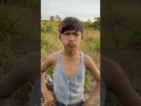'Forest Survival: Brilliant